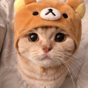 Meet your Posher, Isabel